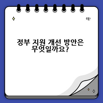 정부 지원 개선 방안은 무엇일까요?