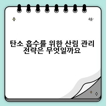 탄소 흡수를 위한 산림 관리 전략은 무엇일까요