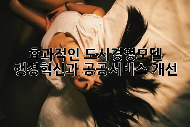효과적인 도시경영모델: 행정혁신과 공공서비스 개선