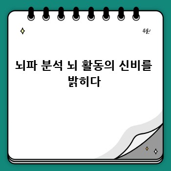 뇌파 분석 뇌 활동의 신비를 밝히다
