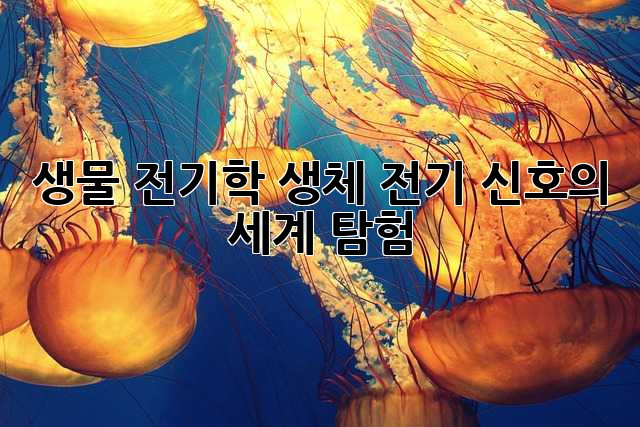 생물 전기학: 생체 전기 신호의 세계 탐험