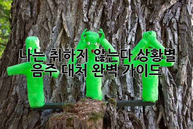 나는 취하지 않는다: 상황별 음주 대처 완벽 가이드