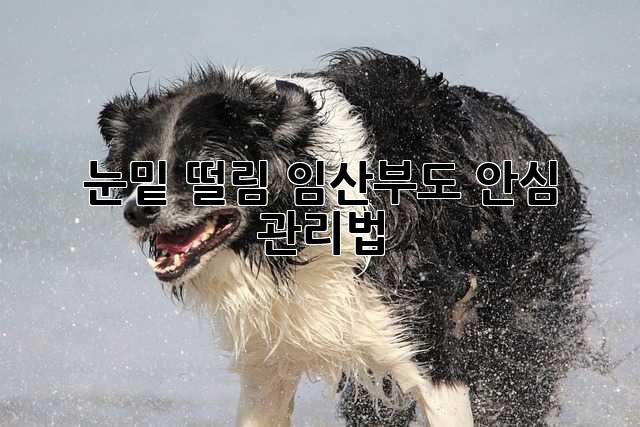 눈밑 떨림, 임산부도 안심 관리법!