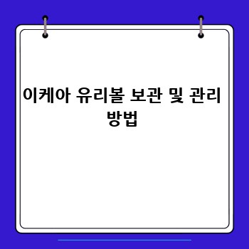 이케아 유리볼 보관 및 관리 방법