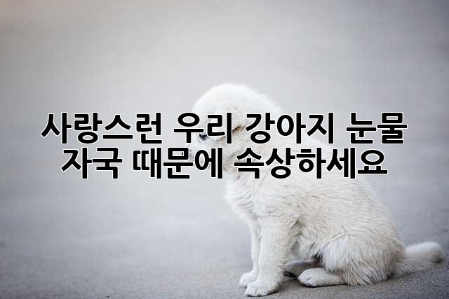 사랑스런 우리 강아지, 눈물 자국 때문에 속상하세요?