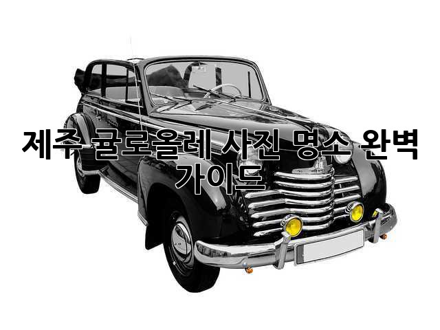 제주 귤로올레 사진 명소 완벽 가이드