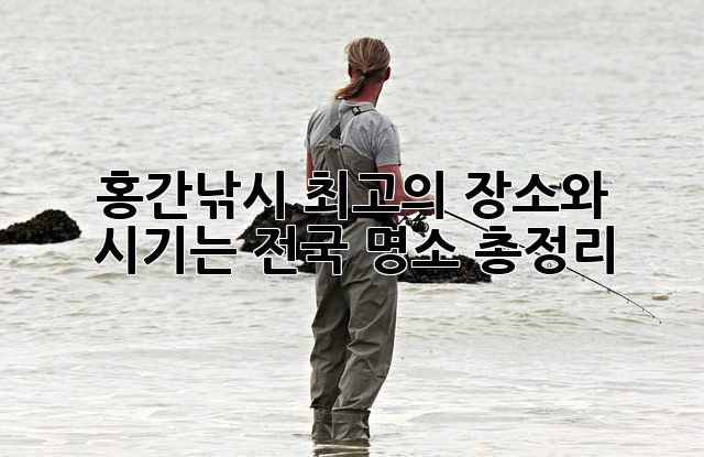 홍간낚시 최고의 장소와 시기는? 전국 명소 총정리!