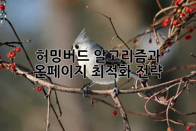 허밍버드 알고리즘과 온페이지 최적화 전략