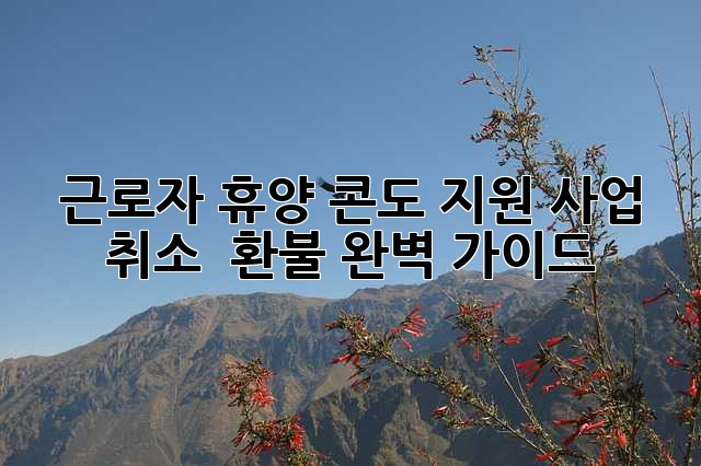 근로자 휴양 콘도 지원 사업: 취소 & 환불 완벽 가이드