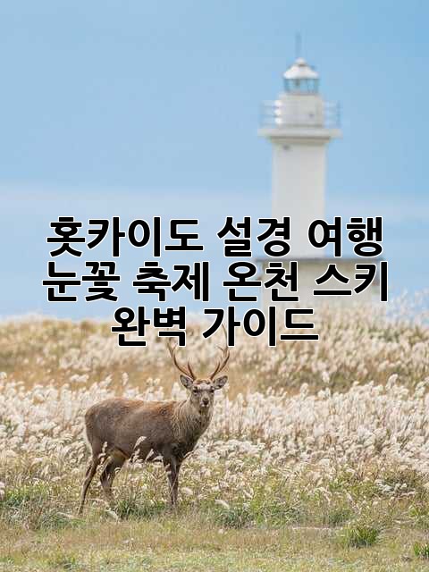 홋카이도 설경 여행: 눈꽃 축제, 온천, 스키 완벽 가이드