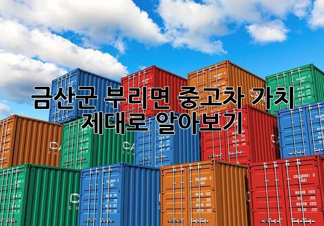금산군 부리면 중고차 가치 제대로 알아보기