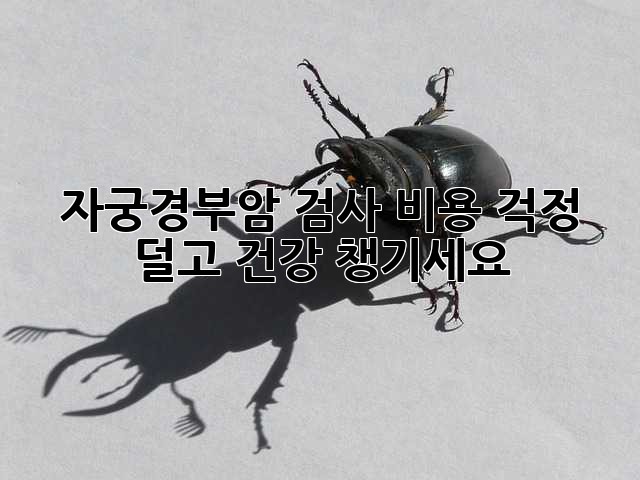 자궁경부암 검사, 비용 걱정 덜고 건강 챙기세요!
