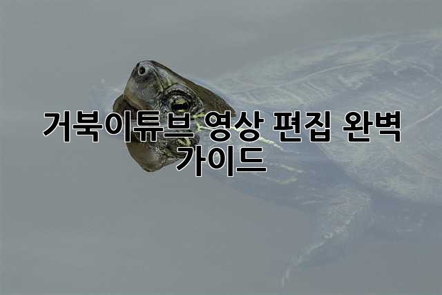 거북이튜브 영상 편집 완벽 가이드