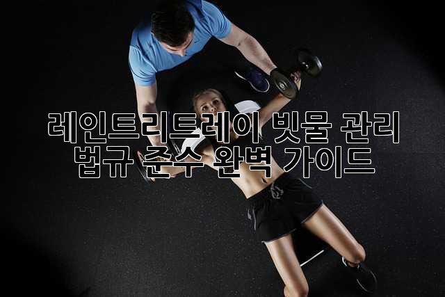 레인트리트레이: 빗물 관리, 법규 준수 완벽 가이드