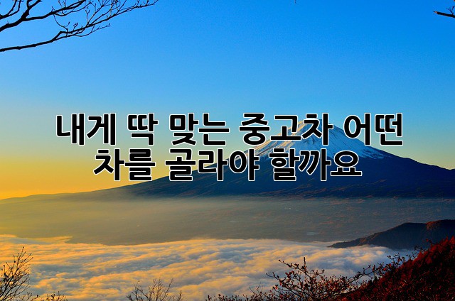 내게 딱 맞는 중고차, 어떤 차를 골라야 할까요?