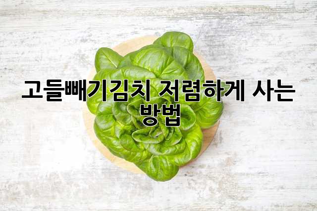 고들빼기김치, 저렴하게 사는 방법!