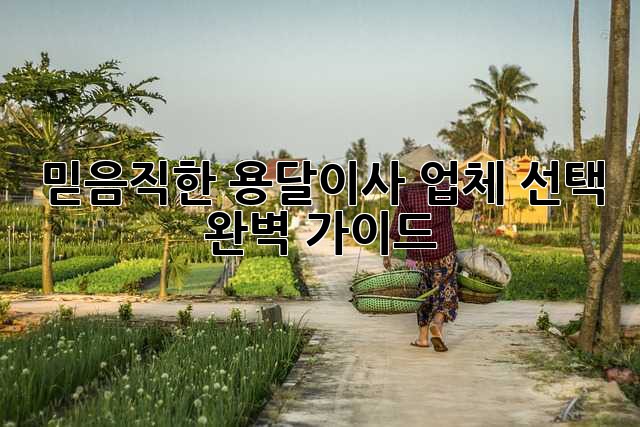 믿음직한 용달이사 업체 선택 완벽 가이드