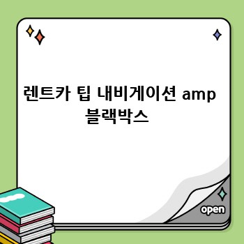 렌트카 팁 내비게이션 amp 블랙박스 