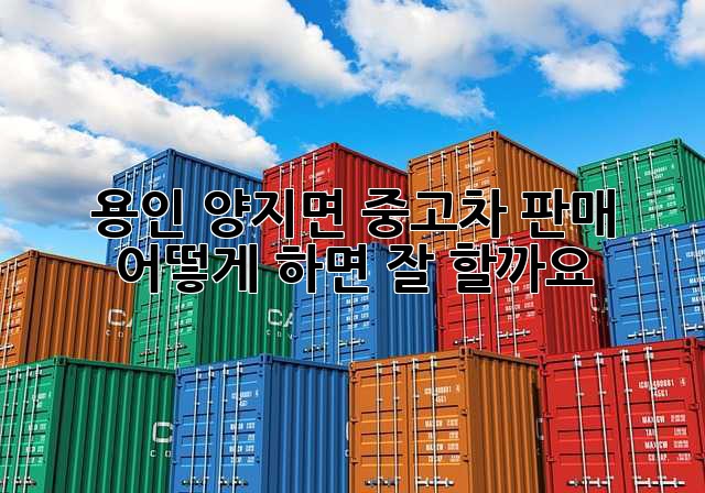 용인 양지면 중고차 판매, 어떻게 하면 잘 할까요?
